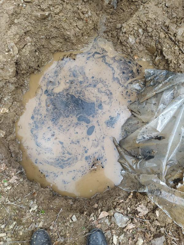 Köy suyunda büyük skandal. Ağacın gövdesine not kazıdılar - Resim : 4