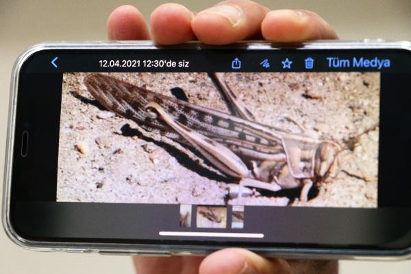 Büyük tehlike sınırımıza dayandı. Her şeye saldırıp yok ediyor - Resim : 1