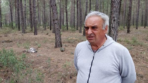 5 sokak köpeği zehirlenerek öldürüldü - Resim : 4