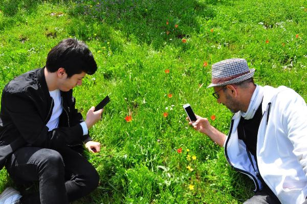 Bu çiçeği kopartan yandı. Cezası dudak uçuklatıyor - Resim : 4