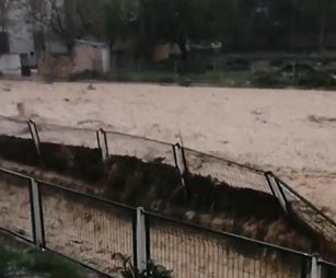 Dere taştı, balıklar yola sıçradı - Resim : 4