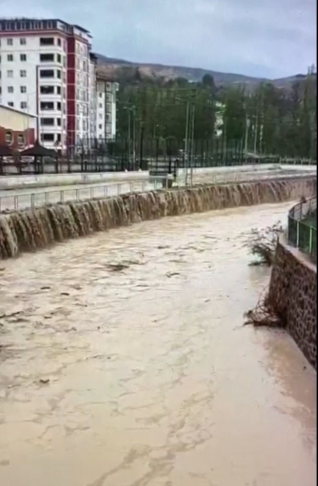 Dere taştı, balıklar yola sıçradı - Resim : 2