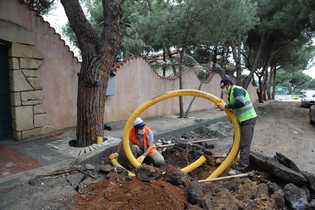 Yıllanmış ağaçlara nefes borusu - Resim : 4