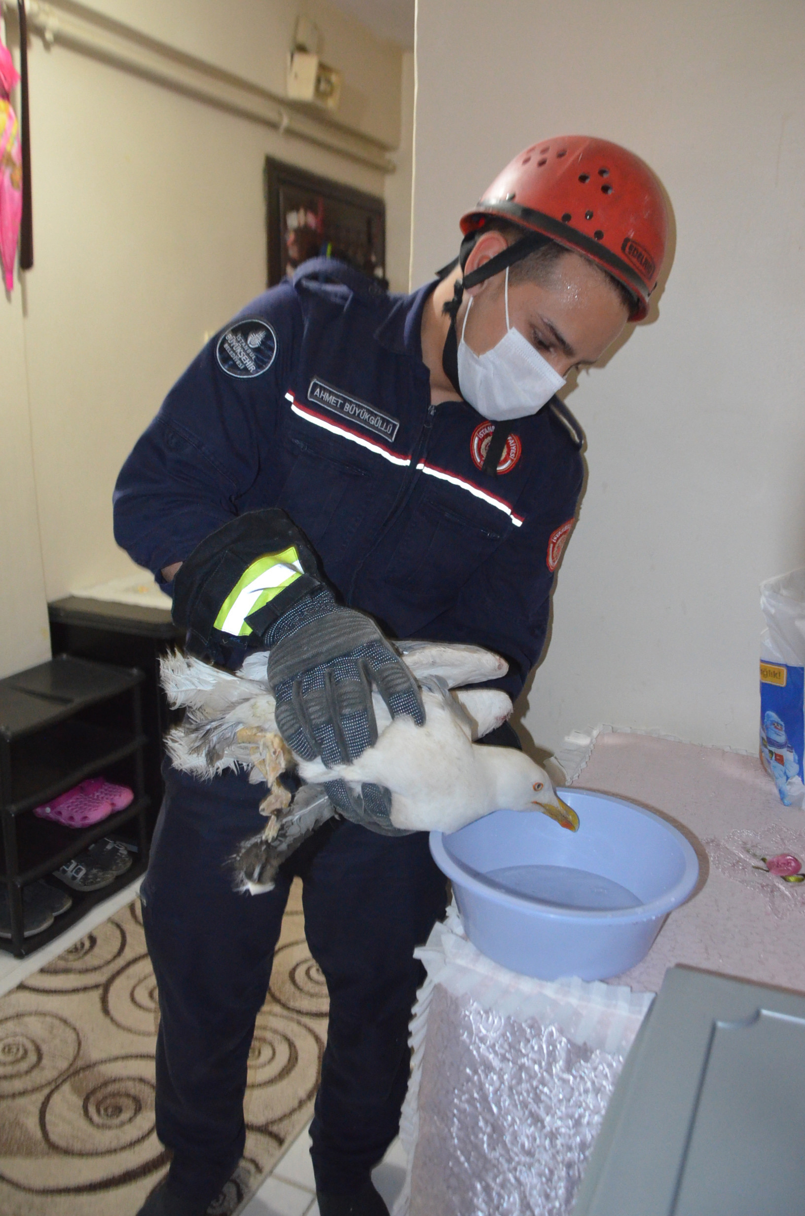 4 gündür aç susuz yaşadı. Ölüm emrini ev sahibi verdi kiracısı kurtardı - Resim : 6