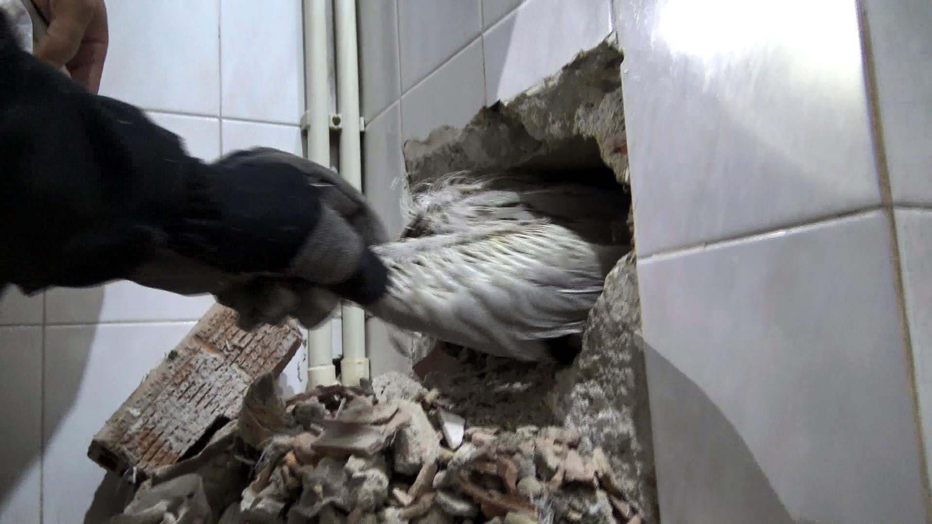 4 gündür aç susuz yaşadı. Ölüm emrini ev sahibi verdi kiracısı kurtardı - Resim : 1