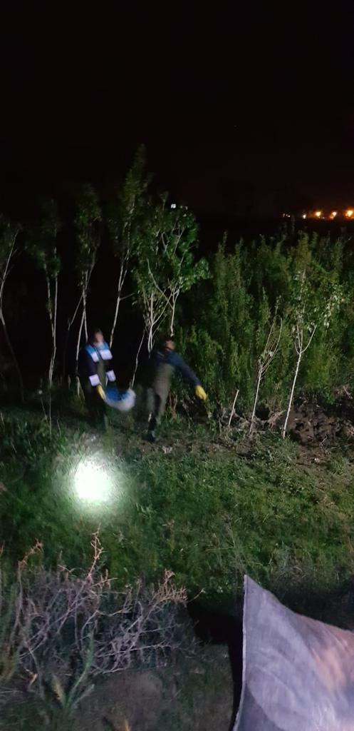 Kaçak avlanan 300 kilo inci kefali, imha edildi - Resim : 1