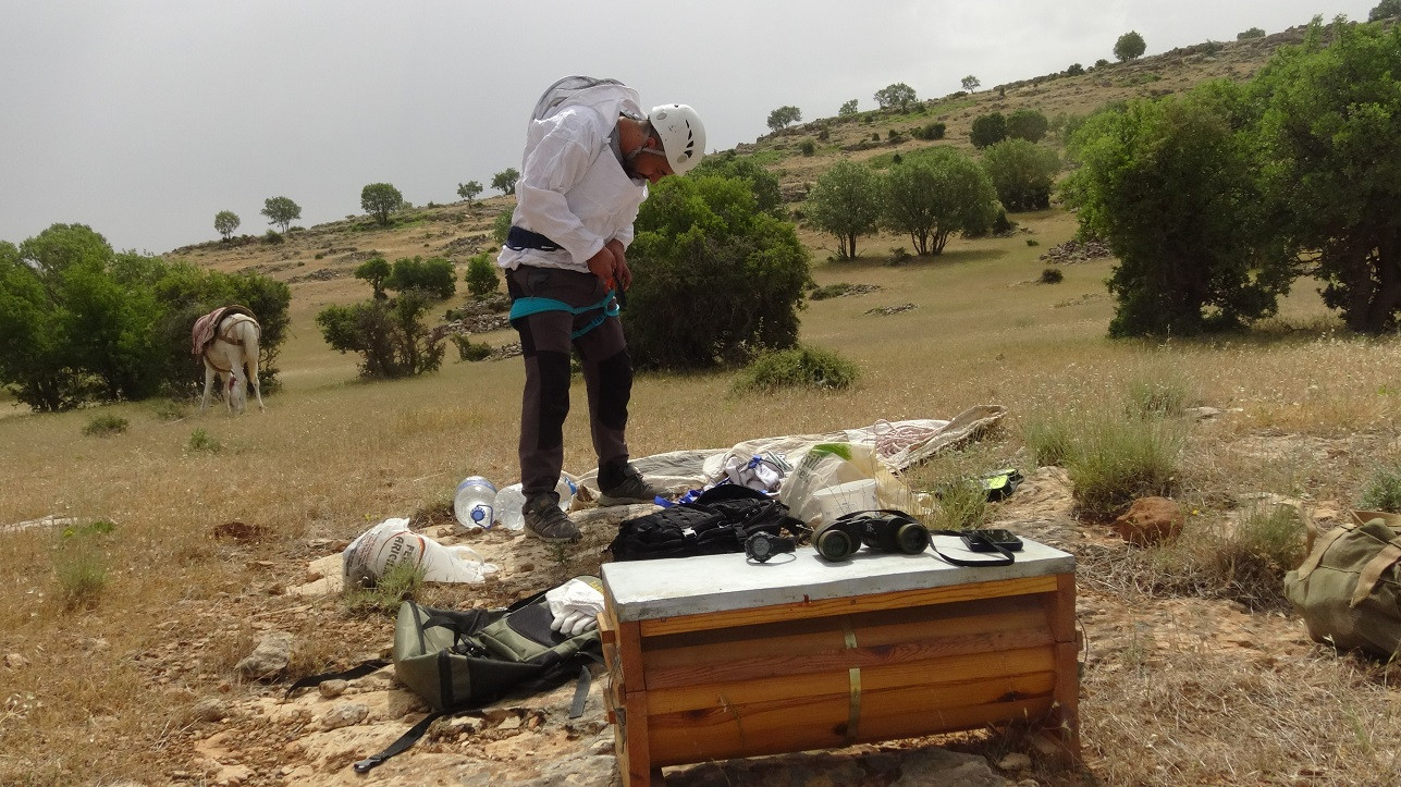 Beden eğitimi öğretmeni 150 metreye tırmanıyor kilosunu bin liraya satıyor - Resim : 3