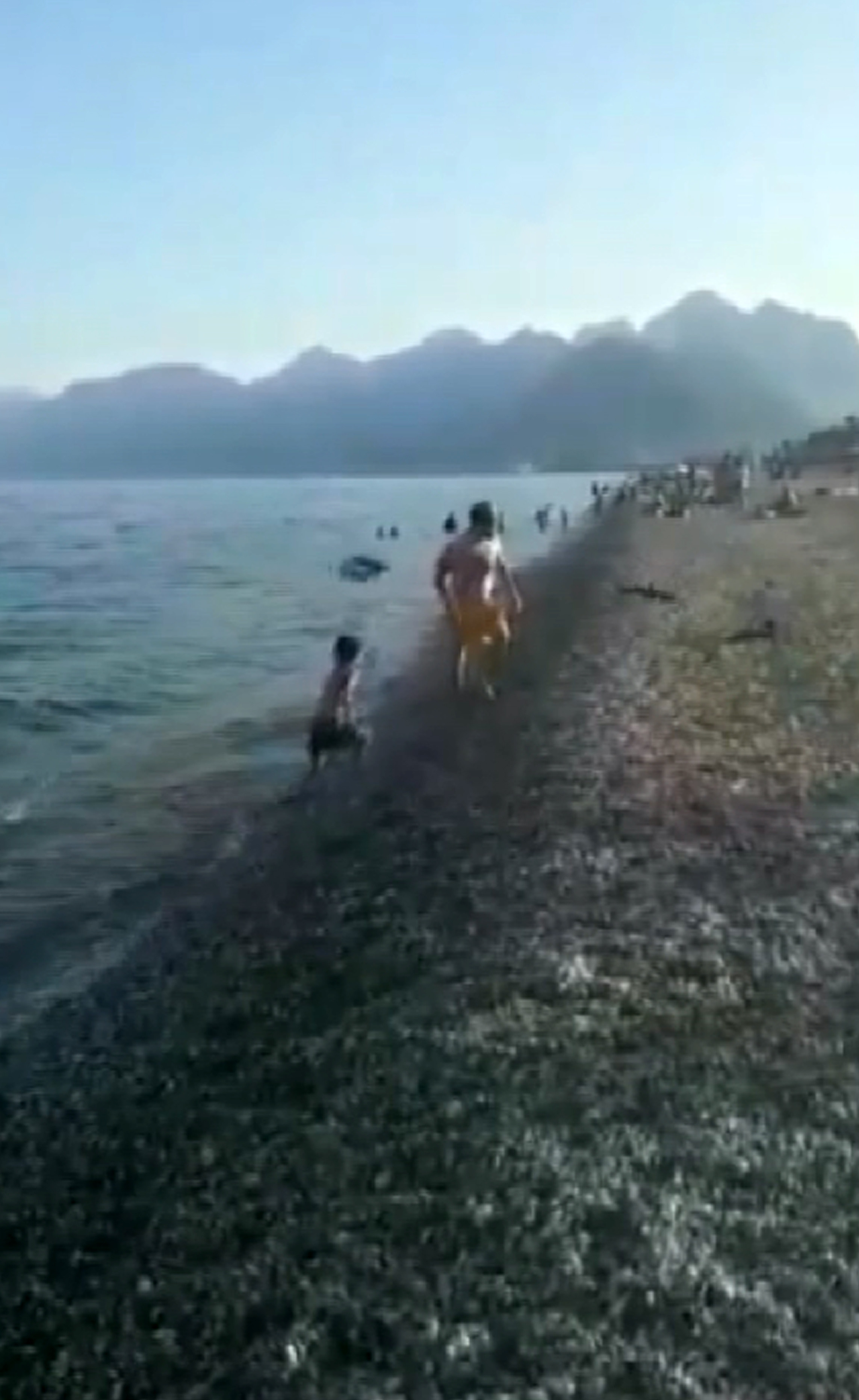 Kargalar denizde yüzen adama saldırdı - Resim : 6