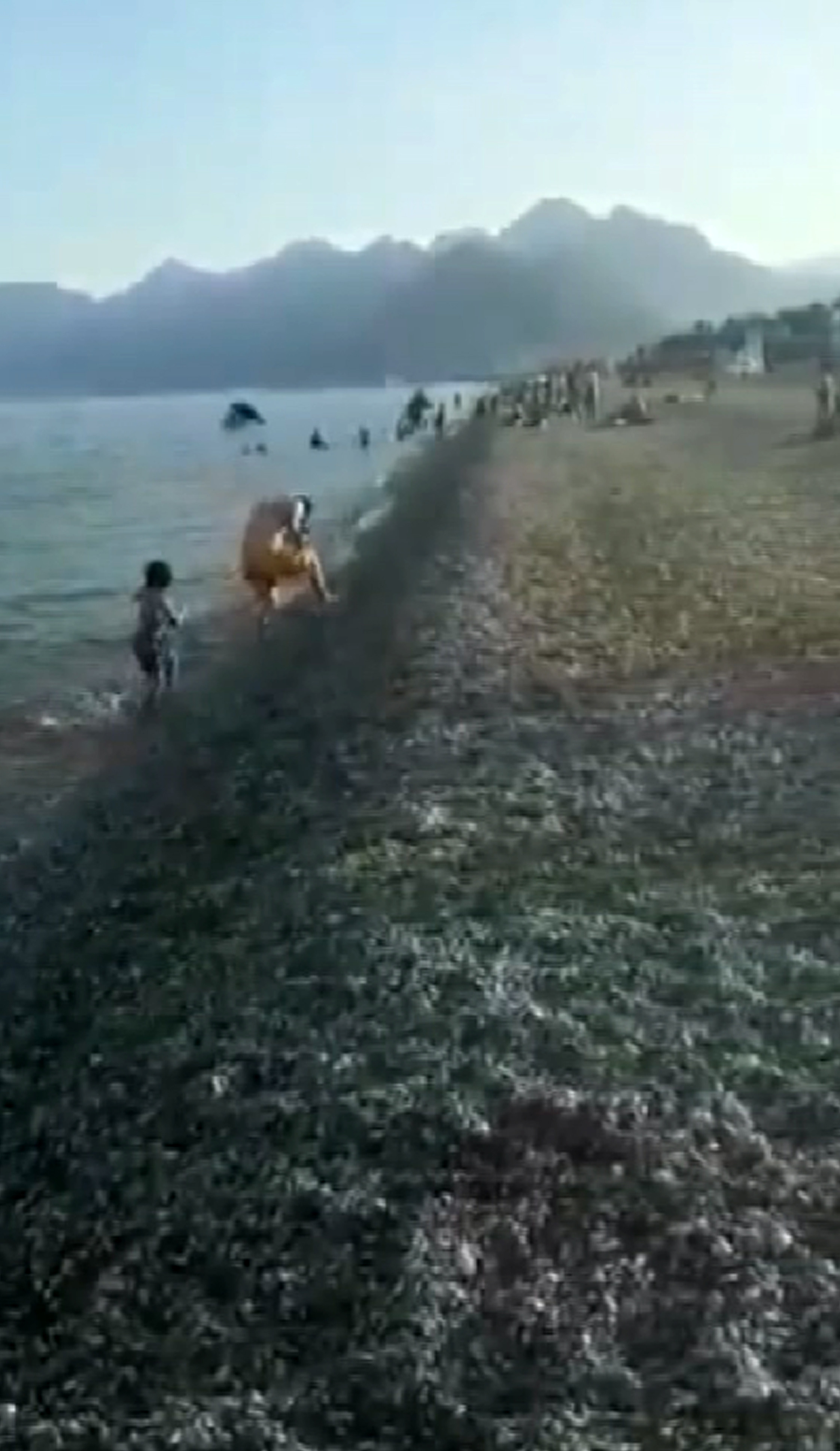 Kargalar denizde yüzen adama saldırdı - Resim : 5