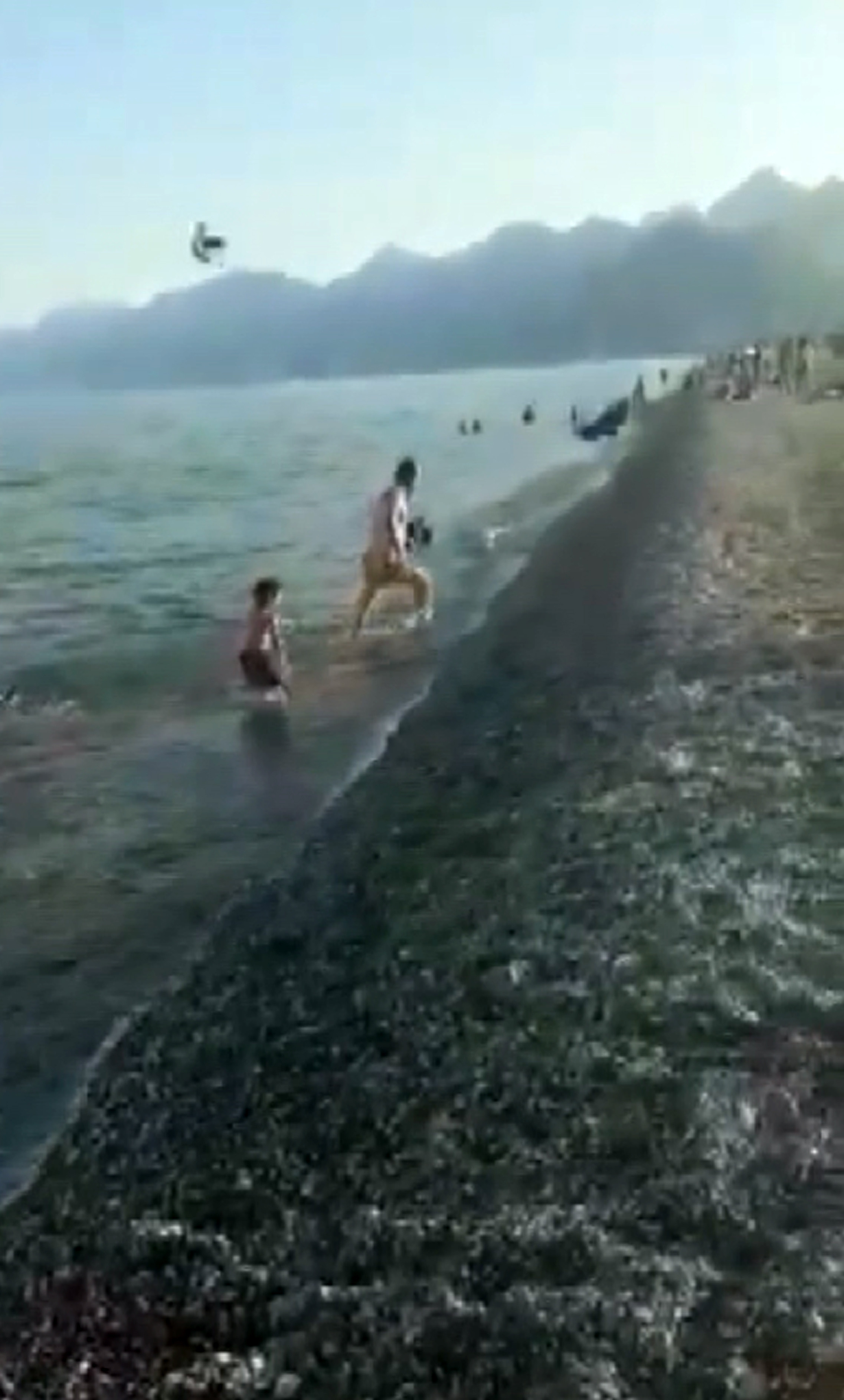 Kargalar denizde yüzen adama saldırdı - Resim : 4