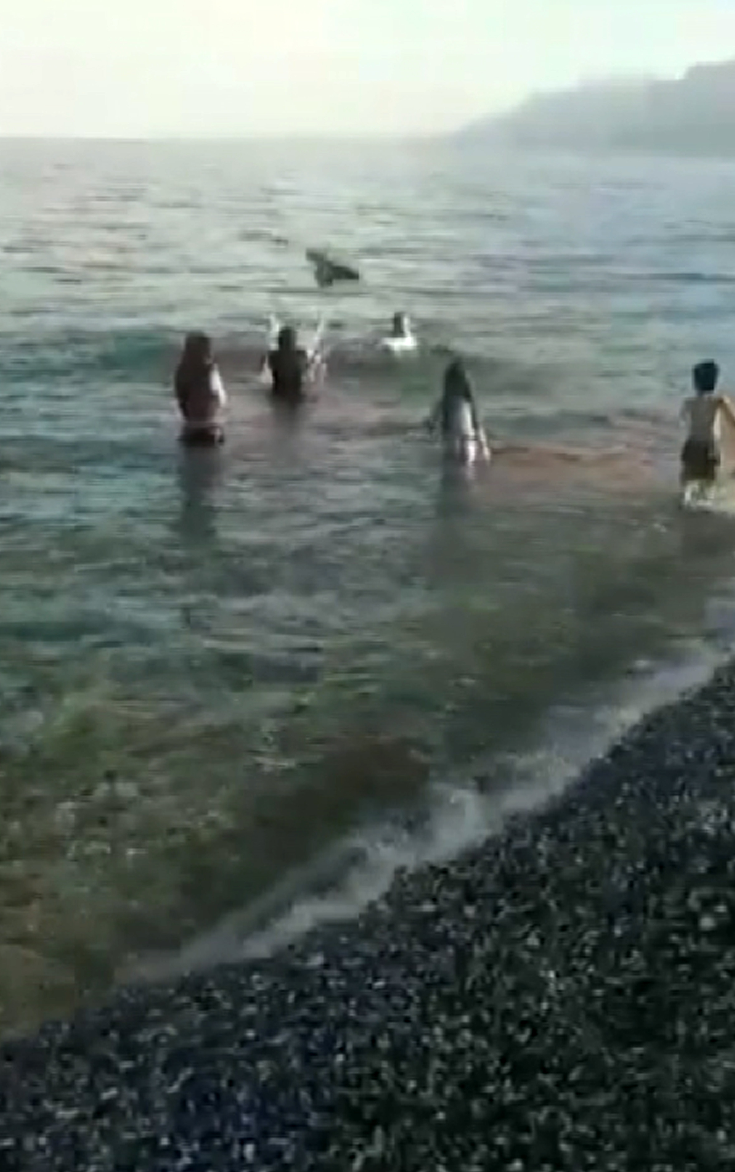 Kargalar denizde yüzen adama saldırdı - Resim : 3