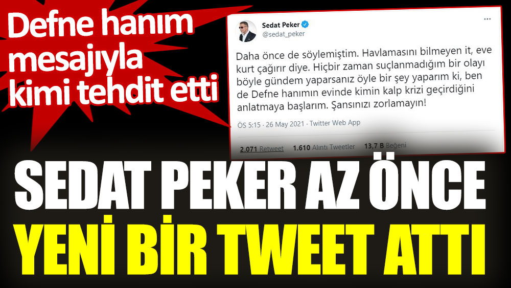 Twitter sedat peker Sedat Peker