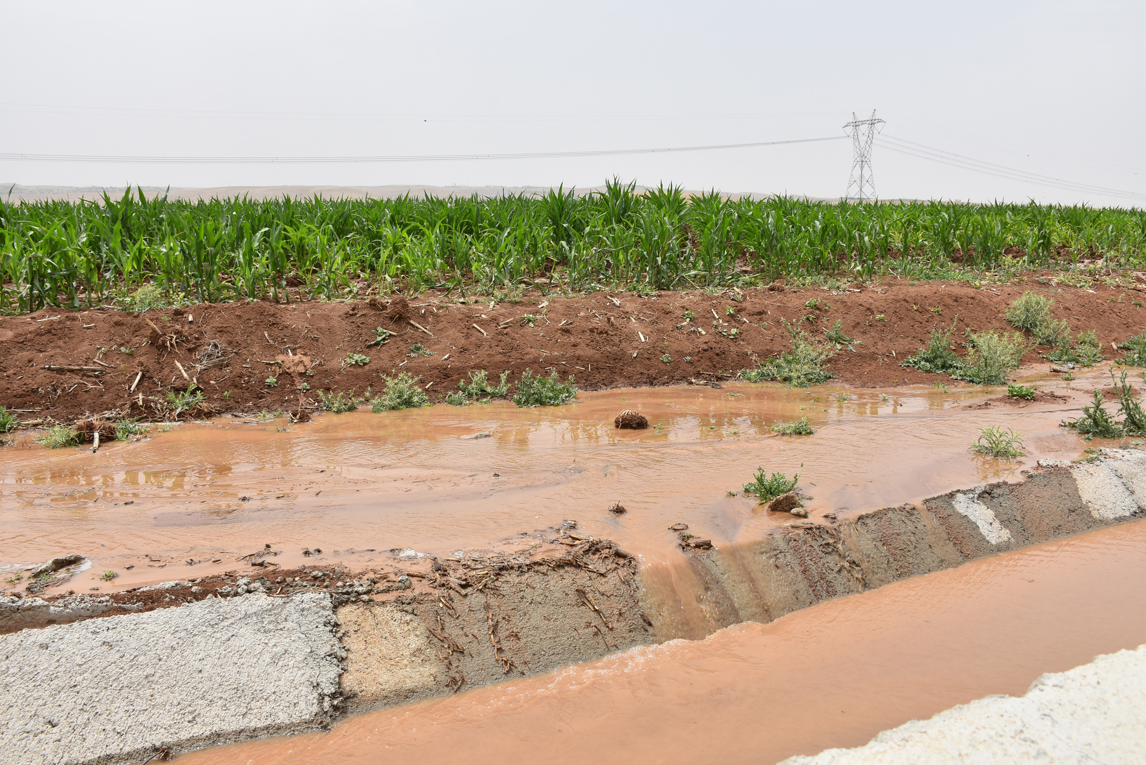 Batman'da çiftçilere vahşi sulama uyarısı - Resim : 2