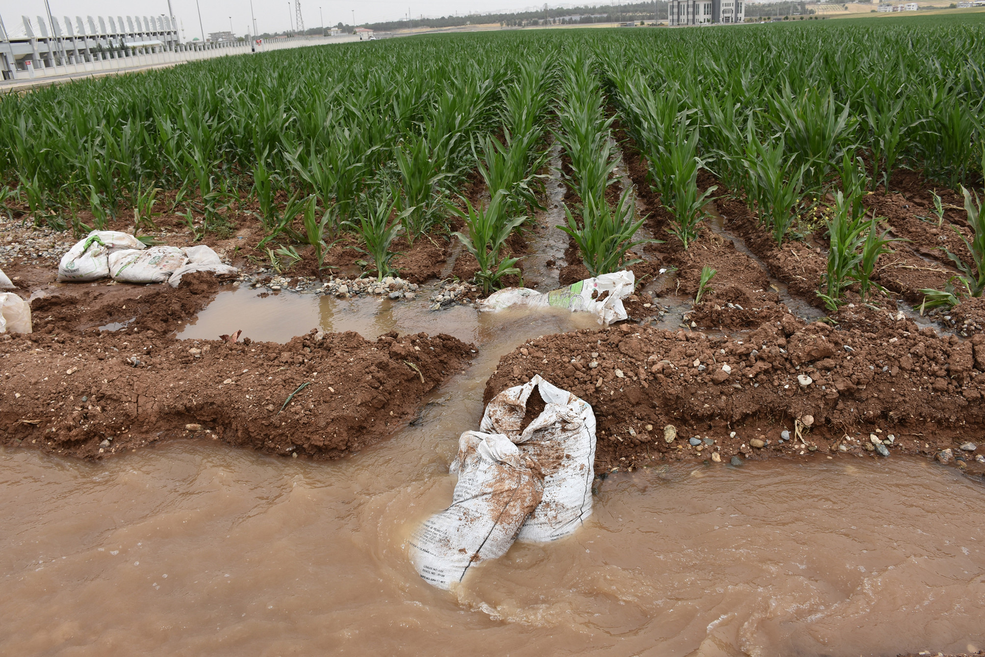Batman'da çiftçilere vahşi sulama uyarısı - Resim : 5
