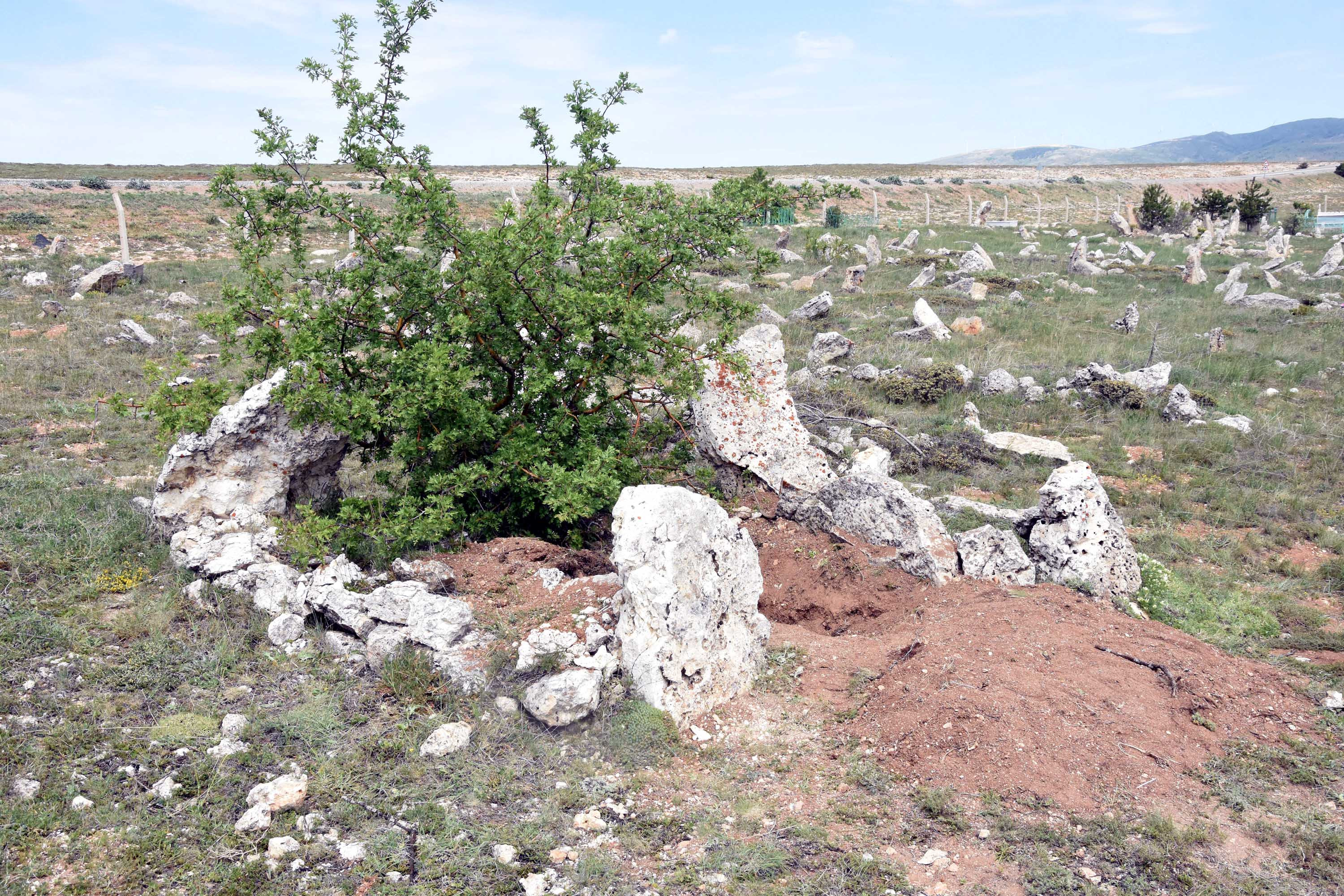 Emre'yi öldürüp iki mezarın arasına gömmüşler - Resim : 4