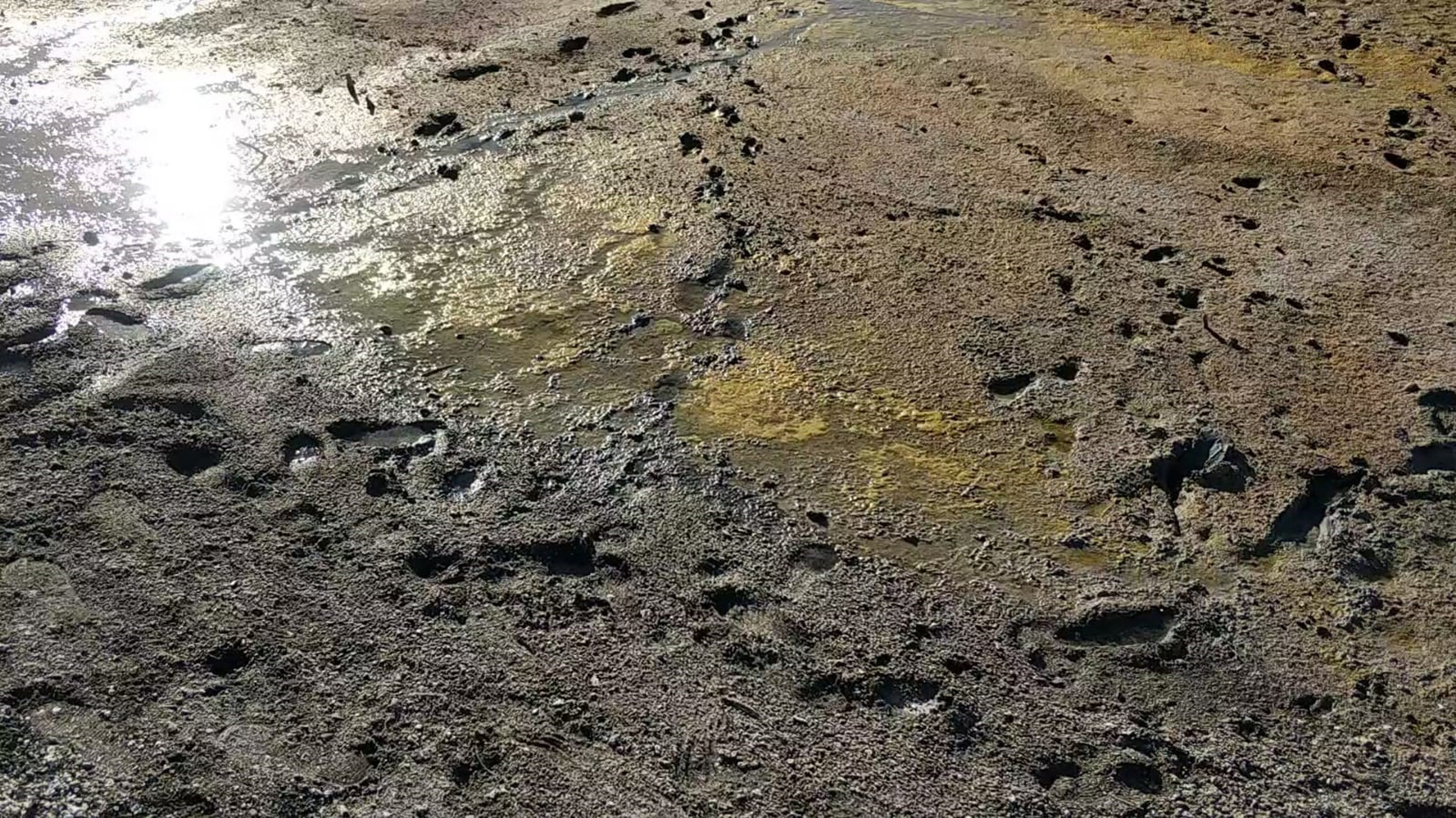 Salda Gölü’ndeki cinayete Bakanlık’ tan açıklama - Resim : 1