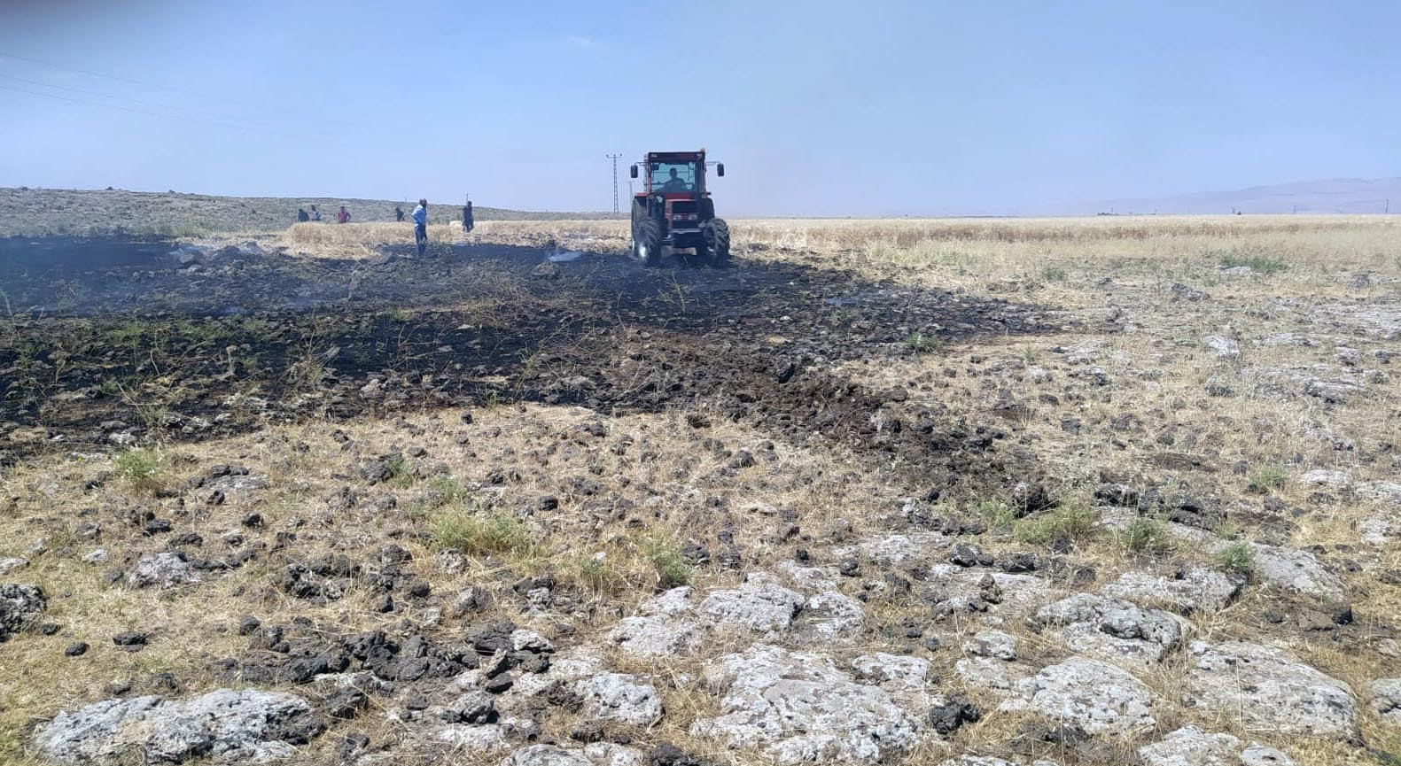 Mardin'de 50 dönüm alanda ekili buğday yandı - Resim : 2