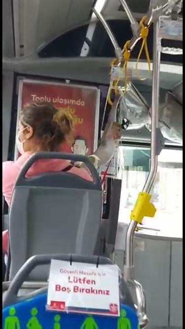 Maymun toplu ulaşımda. Bir bu eksikti - Resim : 4