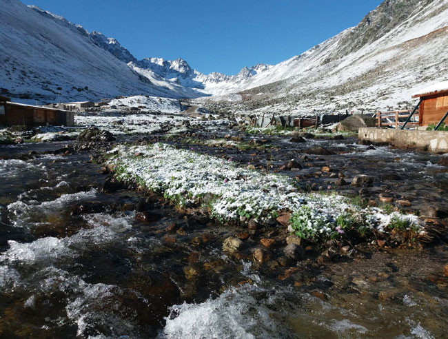 Rize'de yaylalar yaz başında beyaza büründü - Resim : 7