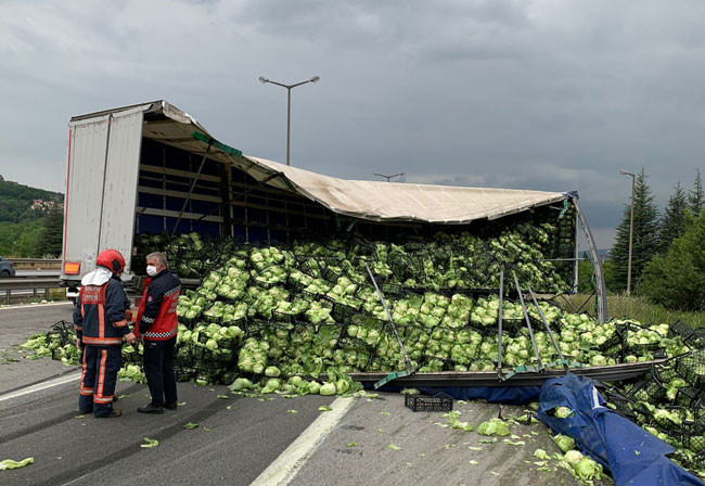TEM Otoyolu marul tarlasına döndü - Resim : 1