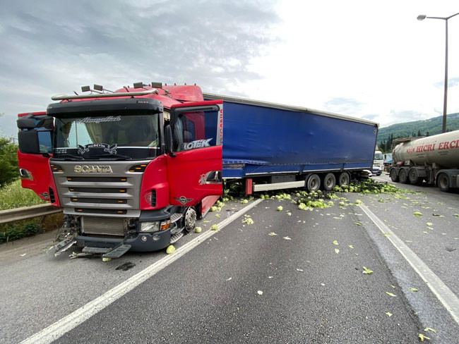 TEM Otoyolu marul tarlasına döndü - Resim : 4