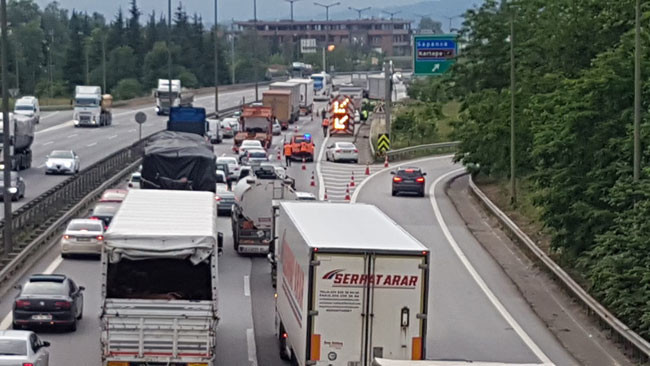 TEM Otoyolu marul tarlasına döndü - Resim : 5