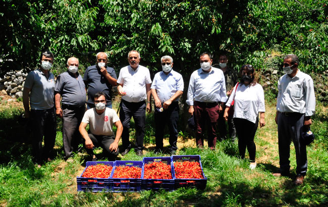 17 yıl önce dikilen fidanlar, ihracat kapısı oldu - Resim : 1
