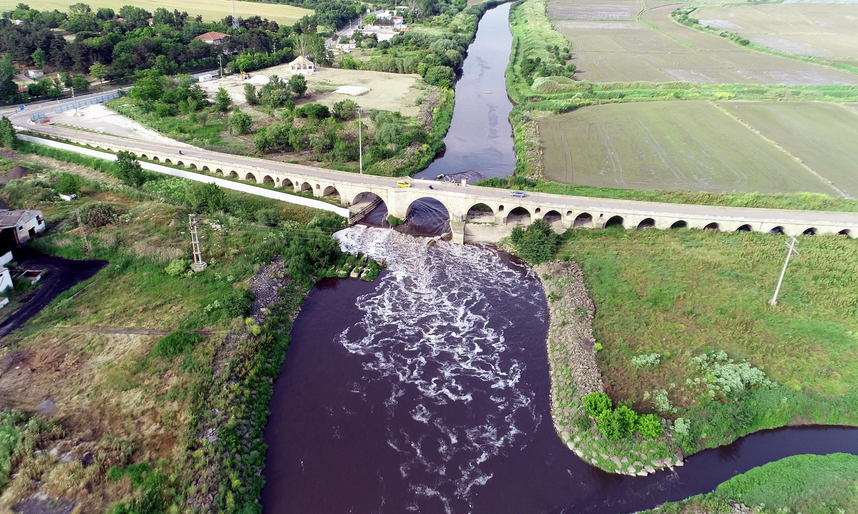 Ergene Nehri, Trakya'da zehir saçıyor - Resim : 3