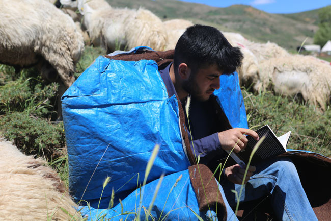 Tunceli'den Hollanda'ya uzanan başarı hikayesi - Resim : 1