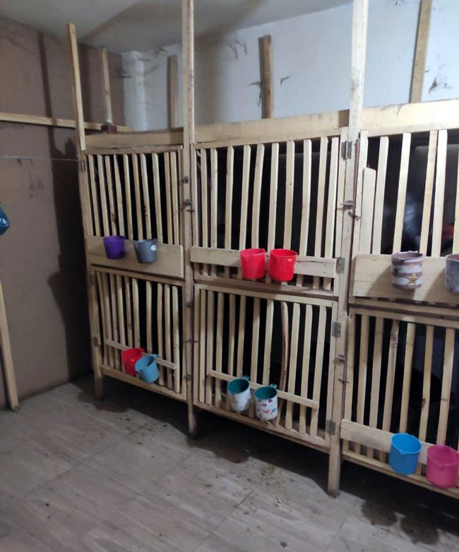 Van'da horoz dövüştüren 24 kişiye 32 bin TL ceza - Resim : 1