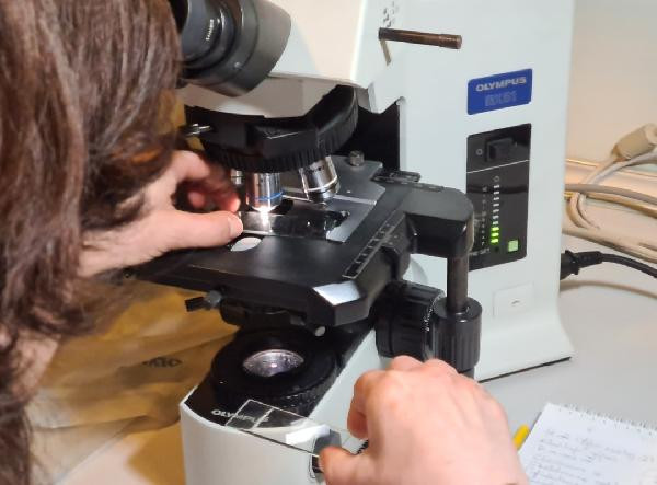 Müsilajda görmediğimiz yeni bir canlı türü bulduk - Resim : 4