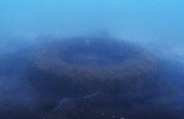 Zeytinburnu’nda kıyı ve deniz dibi temizliği yapıldı - Resim : 2