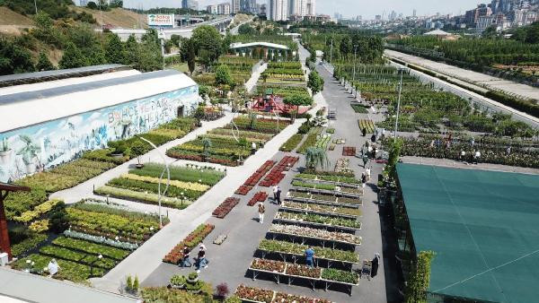 İstanbul 1 milyon gülle renklenecek - Resim : 6