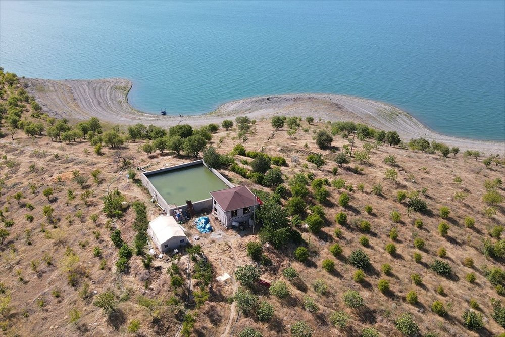 Robinson Ziya'nın Keban Baraj Gölü'ndeki adada huzurlu yaşamı - Resim : 3