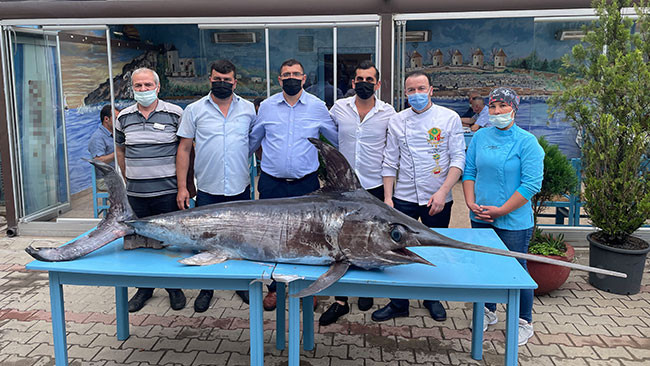 Dev kılıç balığı yakalandı - Resim : 2