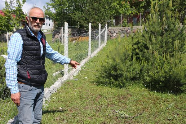 Yavru karacaya acımadılar - Resim : 2