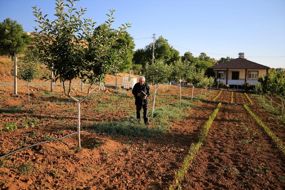 Elazığ'da 67 yaşındaki Zeki Gür, 33 yıl önce kazandığı üniversiteden mezun oldu. - Resim : 6