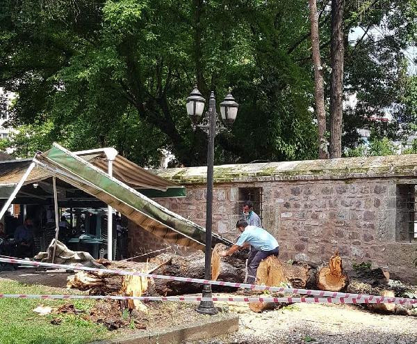 İzmit'te şiddetli rüzgardan ağaç devrildi - Resim : 4