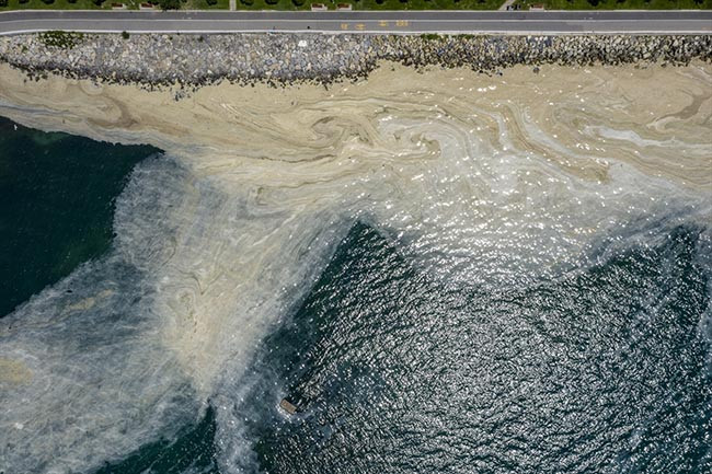 Marmara Denizi'nden 7 bin 430 metreküp müsilaj temizlendi - Resim : 3
