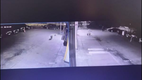 Sarıyer'de 8 aylık yavru köpeği zehirli saçmayla öldürdü - Resim : 1