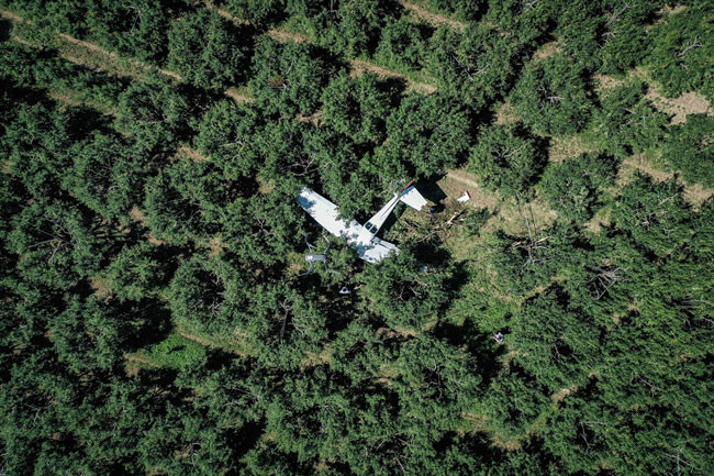 Pilotlar burunları kanamadan kurtuldu - Resim : 3