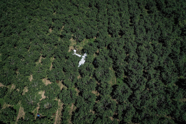 Bursa'da eğitim uçağı bahçeye düştü - Resim : 8