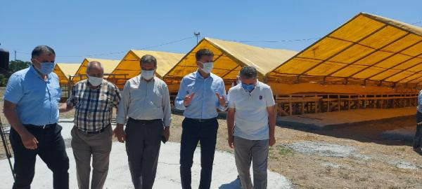 İstanbul’da kurban pazar yerlerinde hazırlıklar başladı - Resim : 2