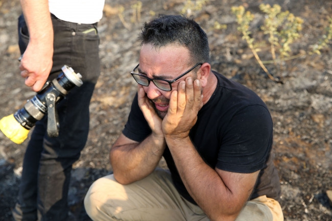 Aydın'da orman yangını: 100 dönüm alan kül oldu - Resim : 1