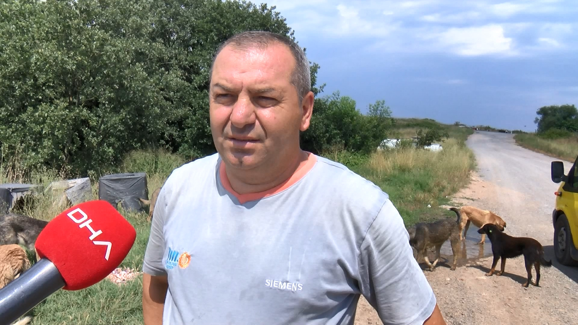 Pendik'te 17 köpeği işkence yapıp öldürdüler - Resim : 3