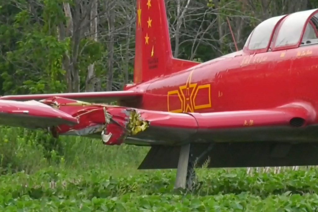 Genç kadına çim biçerken uçak çarptı - Resim : 3