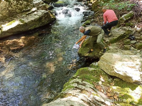 Kazdağları'nda derelere yavru kırmızı benekli alabalıklar bırakıldı - Resim : 7