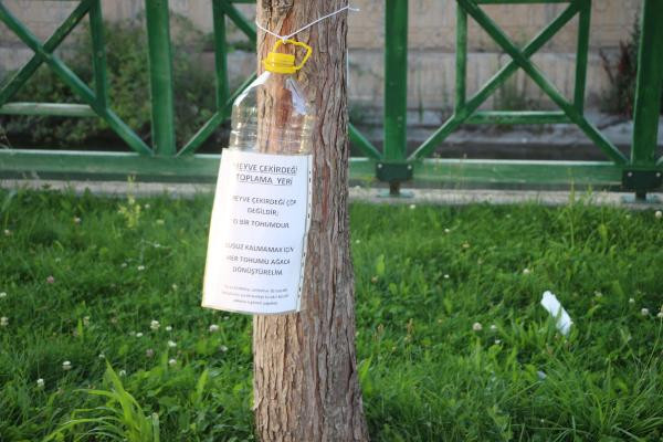 Meyve çekirdekleri çöp olmasın farkındalığı başlattı - Resim : 2