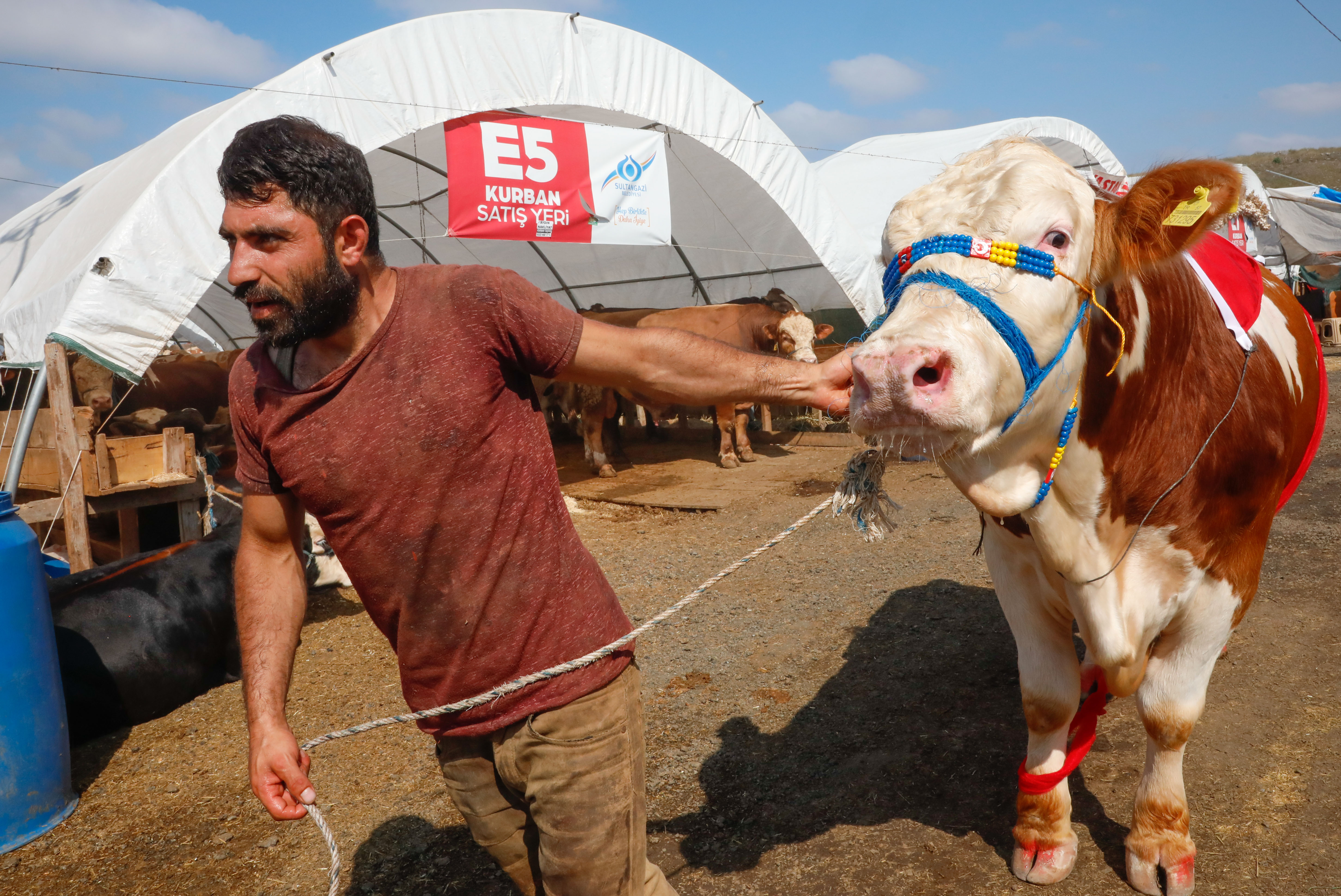 Kesecekler benim Kral'ımı diyerek sattı. Mutluluğunun sebebini böyle anlattı - Resim : 4