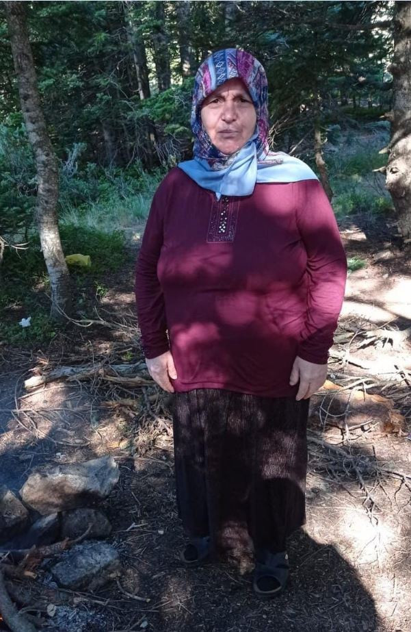 Odun toplamaya gitti bir daha haber alınamadı: Neredesin Gülefer anne - Resim : 1